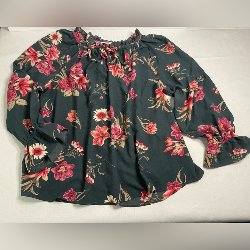 Moa Moa Woman Floral Ruffle Neck Blouse Teal Pink Long Sleeve Plus Size 2X
